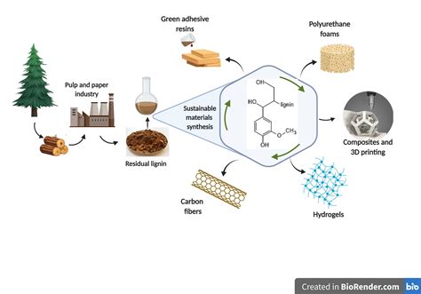 Lignin – Biopolymeerin ihme: Kuinka puun jätteen avulla luodaan uutta ja kestävää tulevaisuutta?