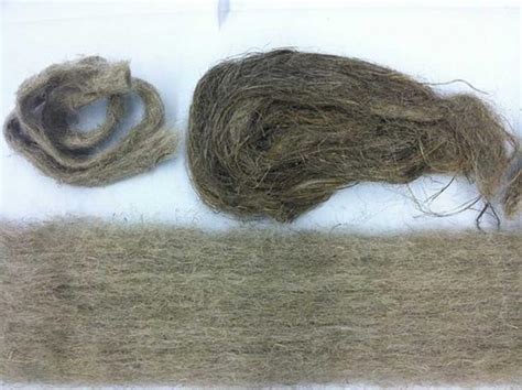  Flax Textile Fibers: The Ancient Wonder Woven into Modernity!