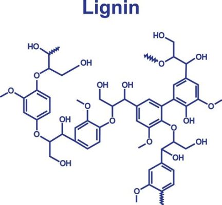 Ligniini – Yksi puutavaran salaisuuksista ja monipuolinen kemian raaka-aine!